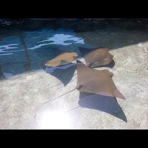 💝Reasonable offers always accepted💝